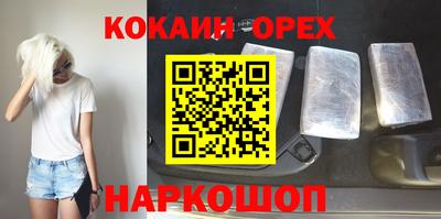 стаф Можга