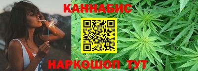 стаф Можга