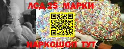 стаф Можга