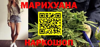 стаф Можга