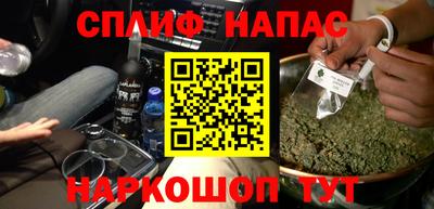 стаф Можга