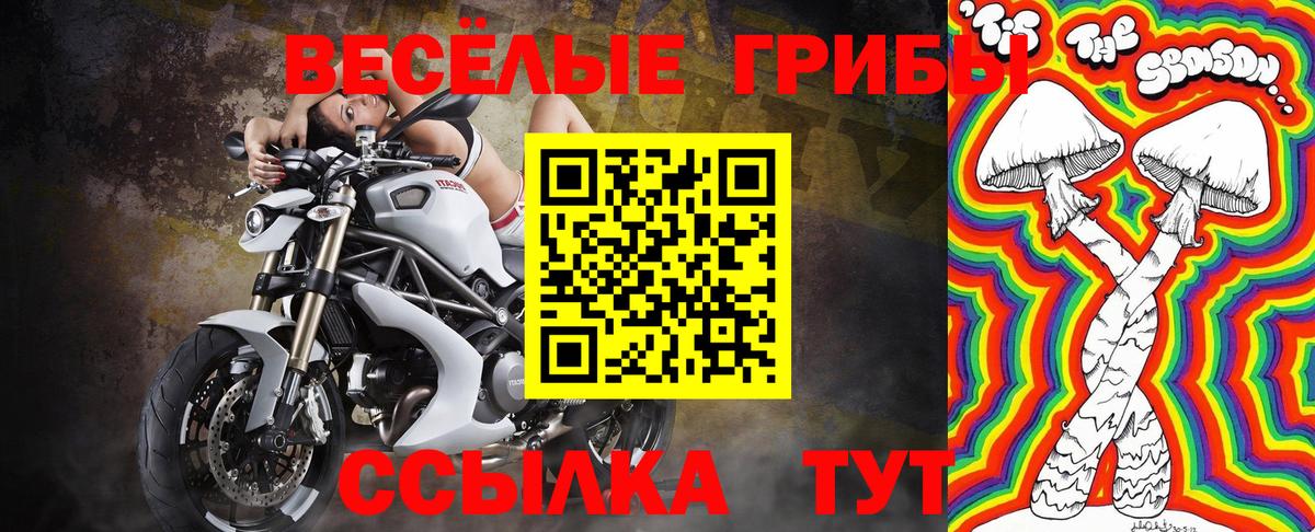 Губаха  Псилоцибиновые грибы мицелий  Вход с VPN  Псилоцибиновые грибы прущие грибы 